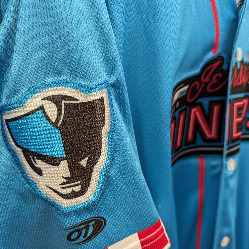 Jersey Diners New Jersey Minor League Baseball Somerset Patriots